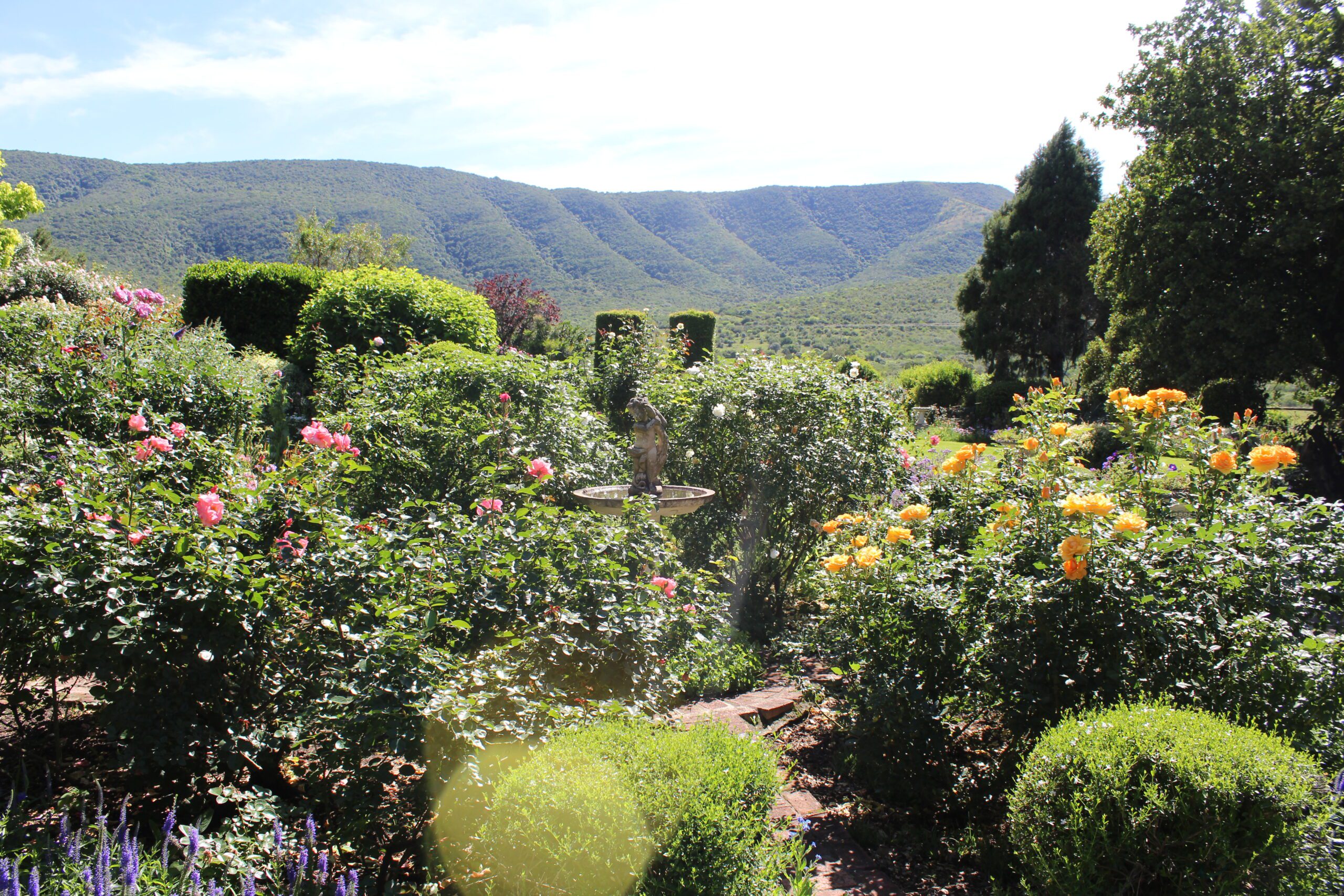 Bedford garden