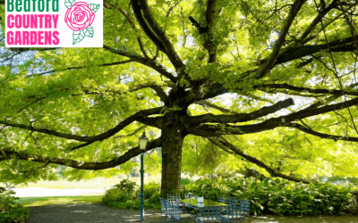 Bedford – Bedford Country Gardens: Oct / Nov