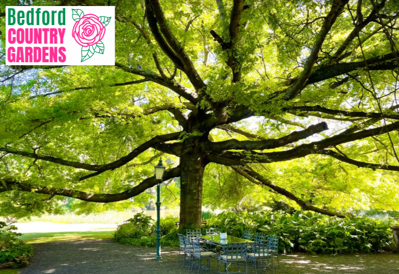 Bedford – Bedford Country Gardens: Oct / Nov