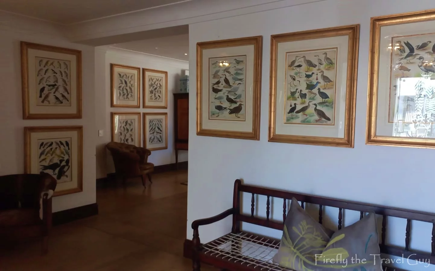 Roberts Bird book illustrations