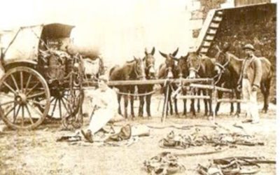 The Graaff-Reinet Jewish community