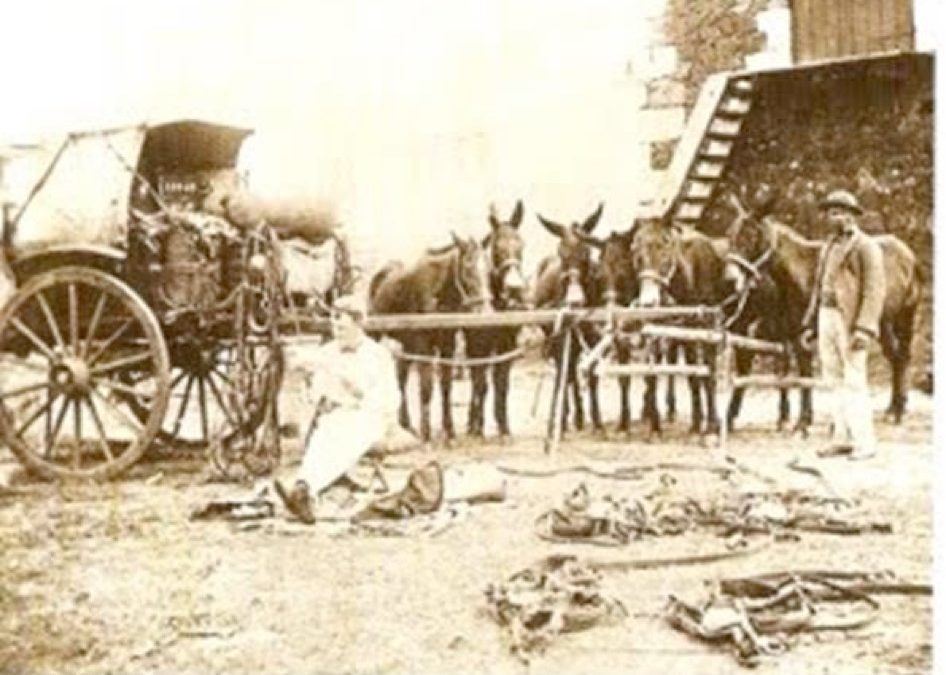 The Graaff-Reinet Jewish community