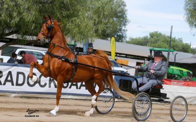 Cradock Agricultural Show: October