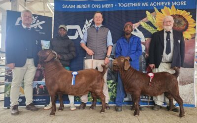 Somerset Oos Landbouskou: September