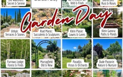 Nieu-Bethesda Garden Day – October
